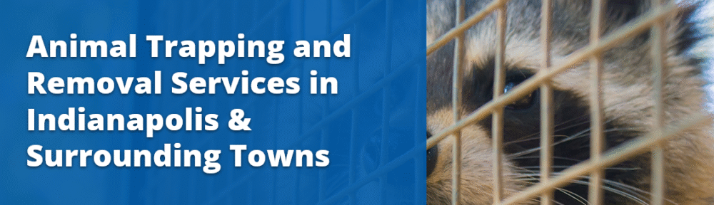 Trapper Joe’s Wildlife Control, LLC