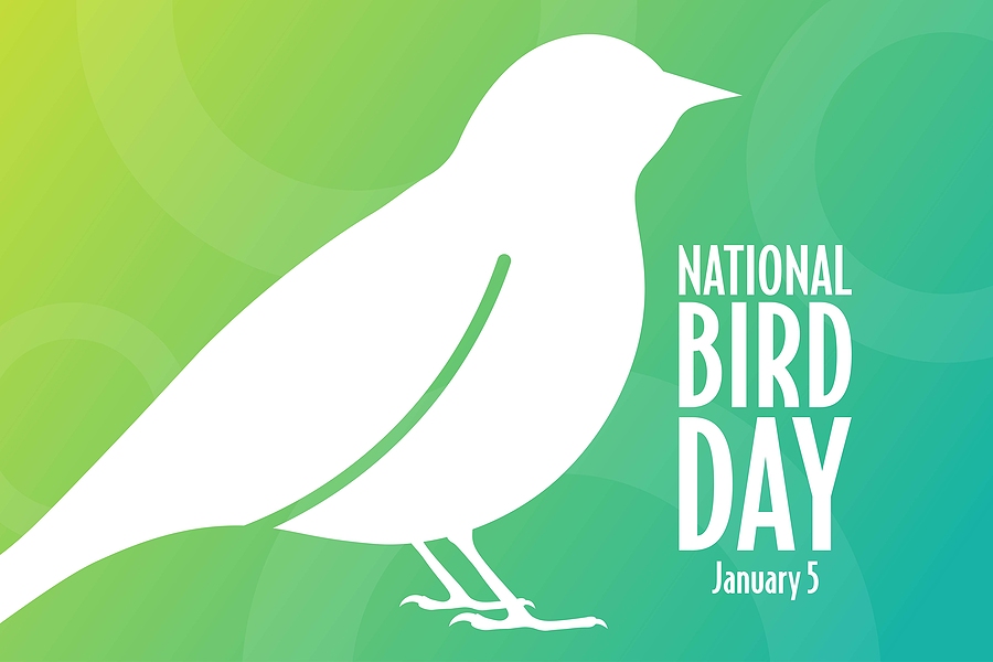 Honor National Bird Day!