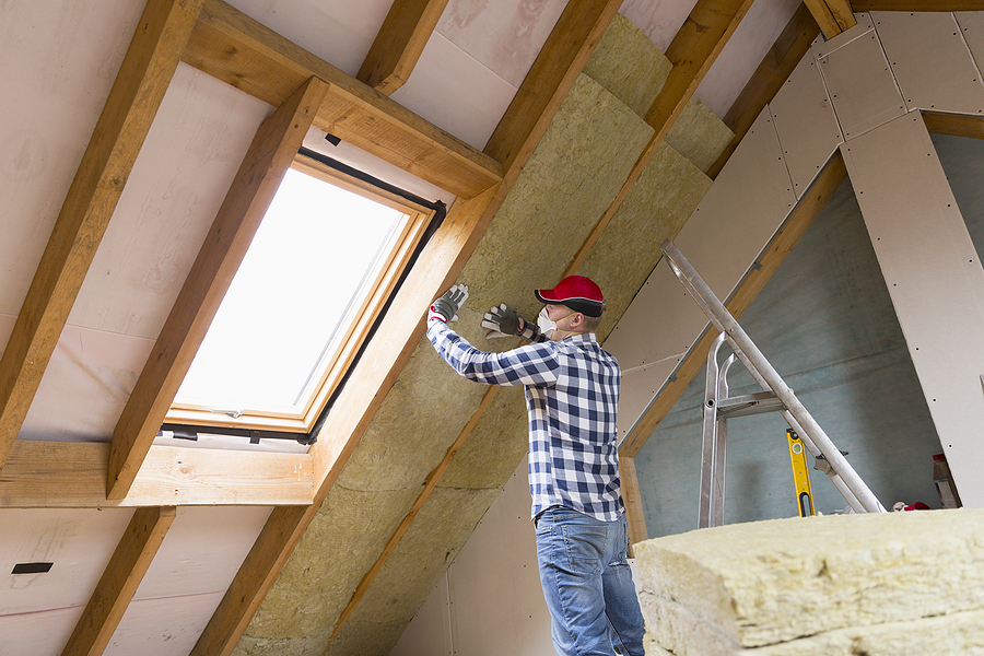 Call 317-832-5840 for Help Removing Bats in the Attic in Indianapolis Indiana