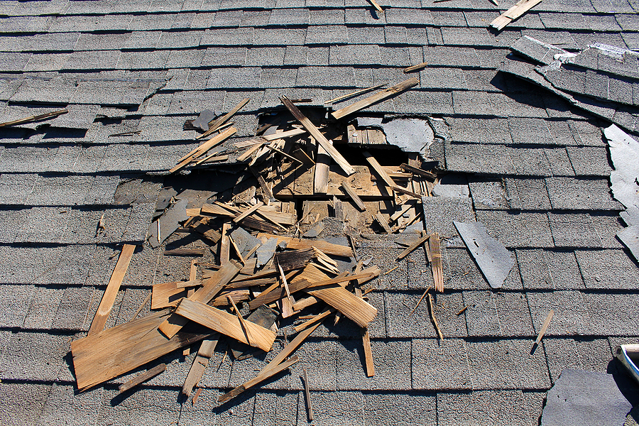 Call 317-832-5840 for Licensed & Insured Wildlife Property Damage Repair in Indianapolis