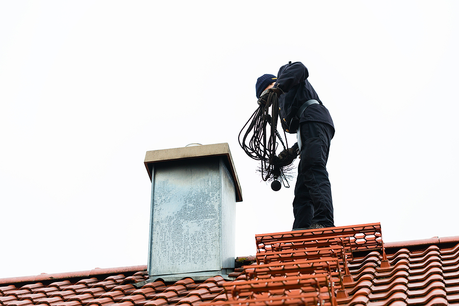 Call 317-832-5840 for Chimney Bird Removal in Indianapolis